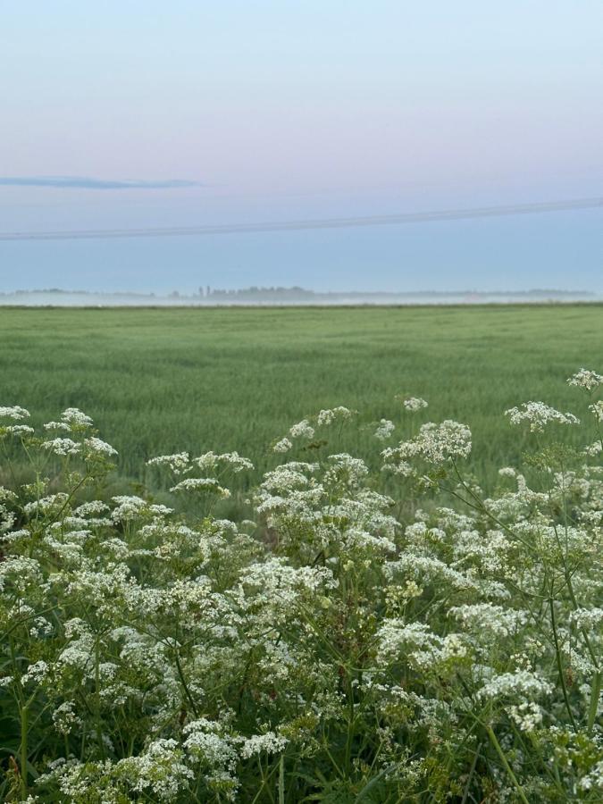 Peltovilla Tornava 外观 照片